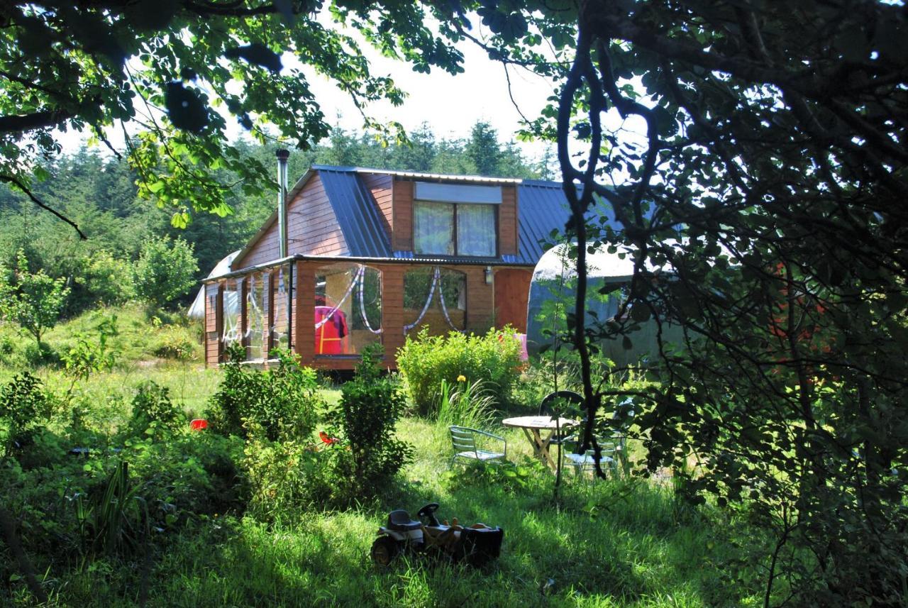 Fintown Meadowsweet Forest Lodge מראה חיצוני תמונה